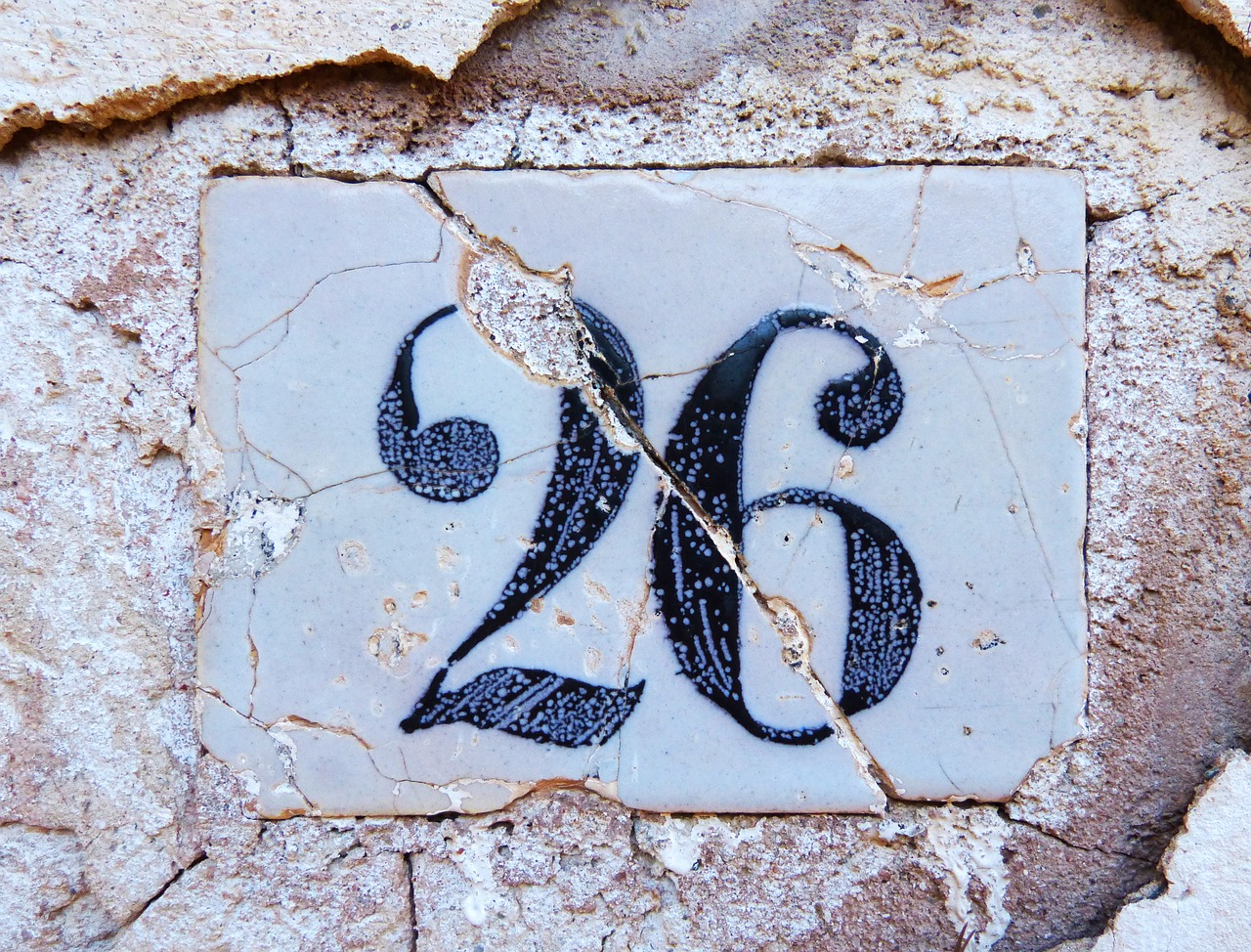 26