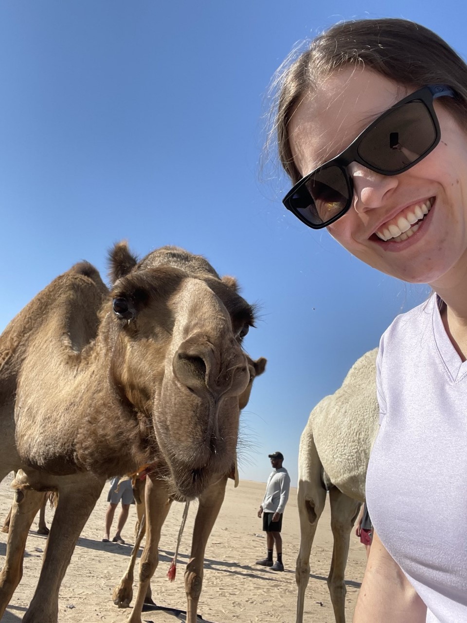 Camel with Maddie