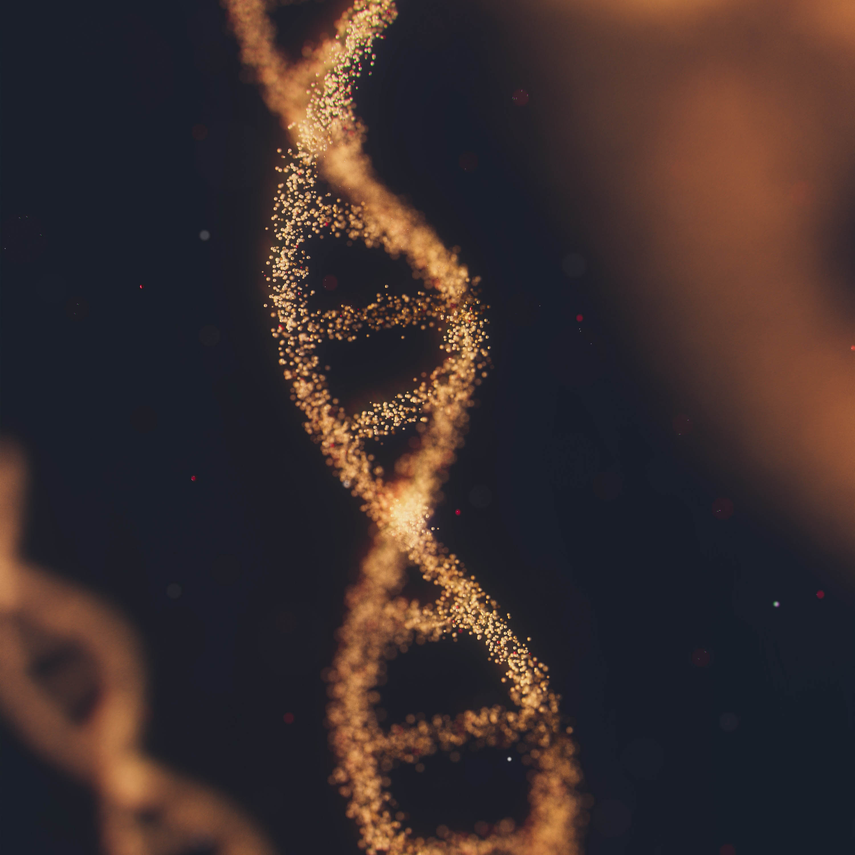 DNAWEBanirudh YQYacLW8o2U unsplash