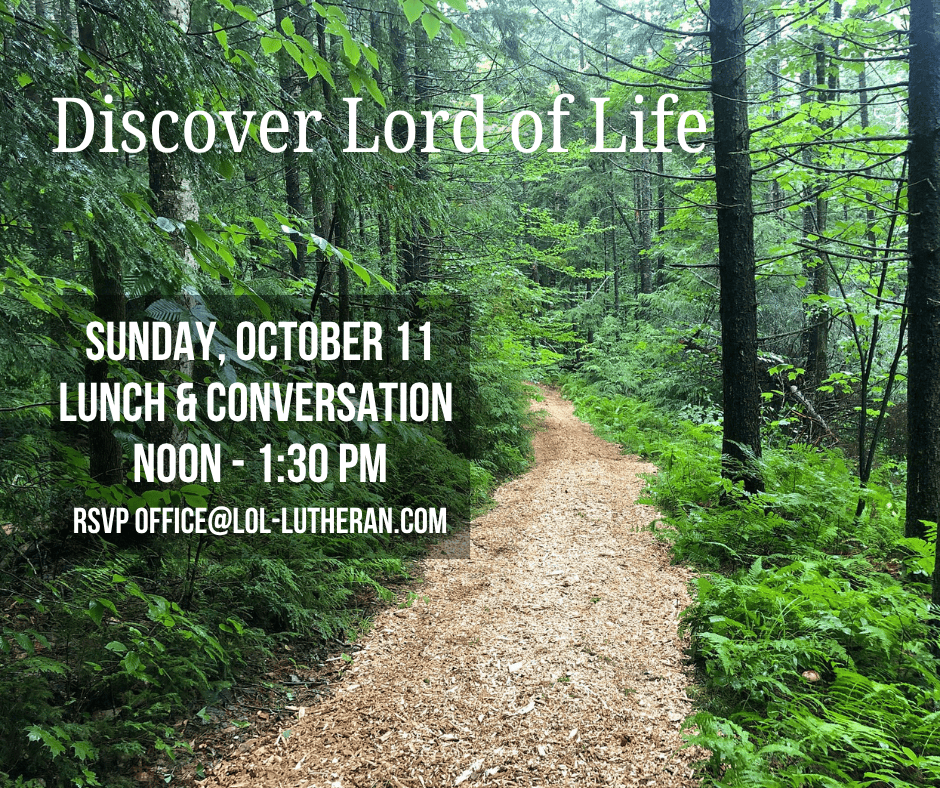 DiscoverLOLNEWWEB