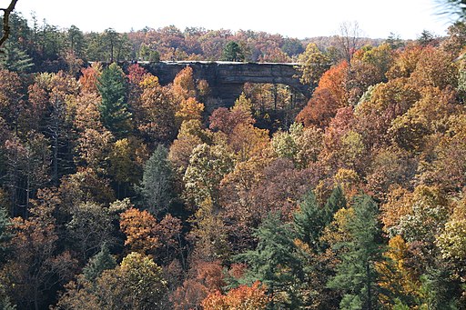 Natural Bridge State Park Kentucky