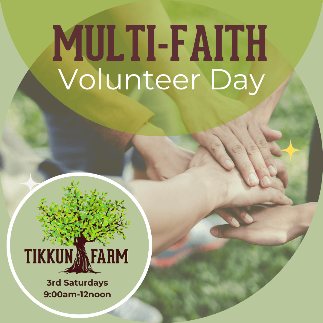 Tikkun Farm Multi Faith Volunteer Day WEB
