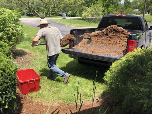 bill shovel for web