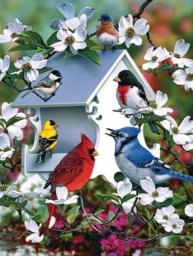 birdhouses