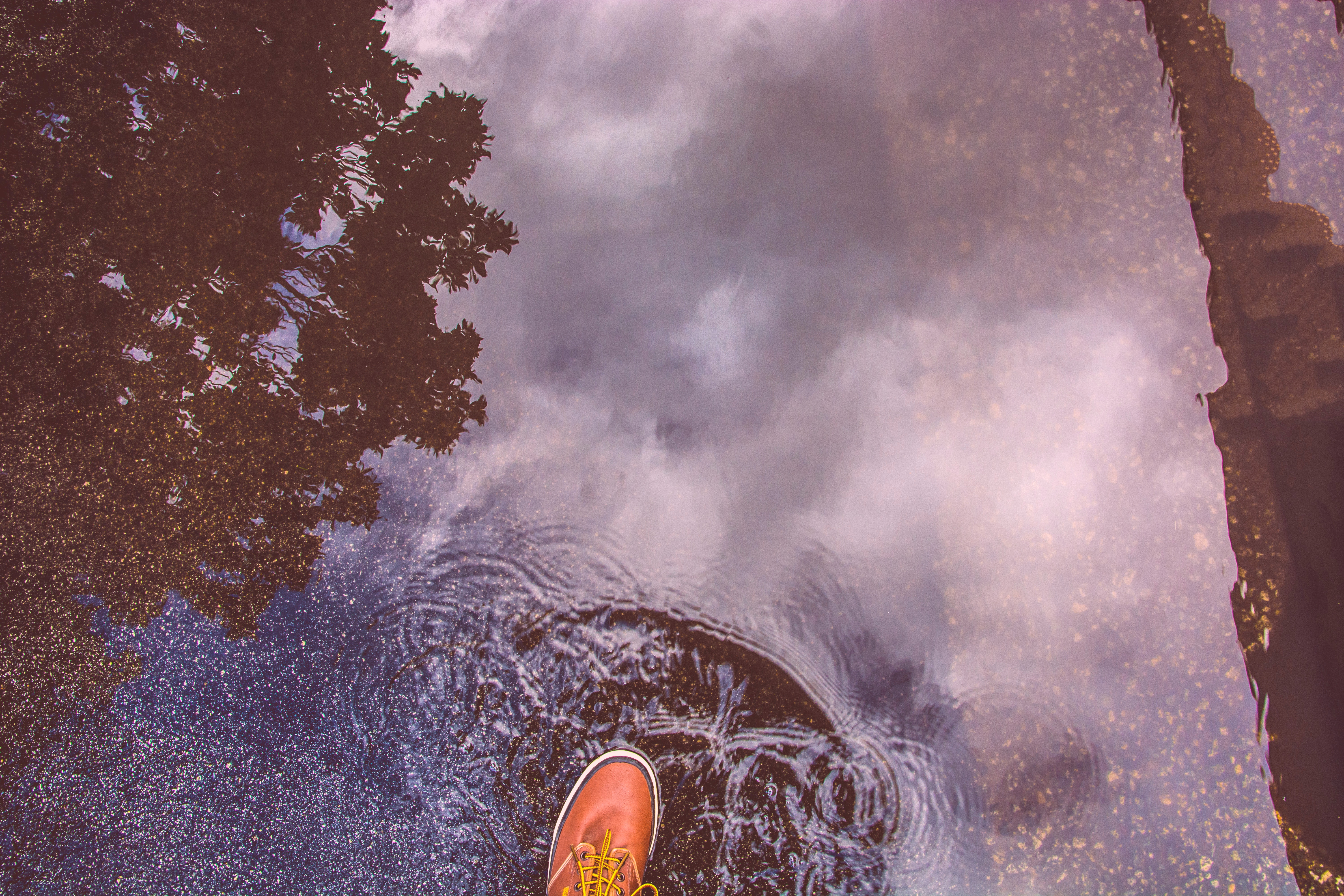 blog step into rain