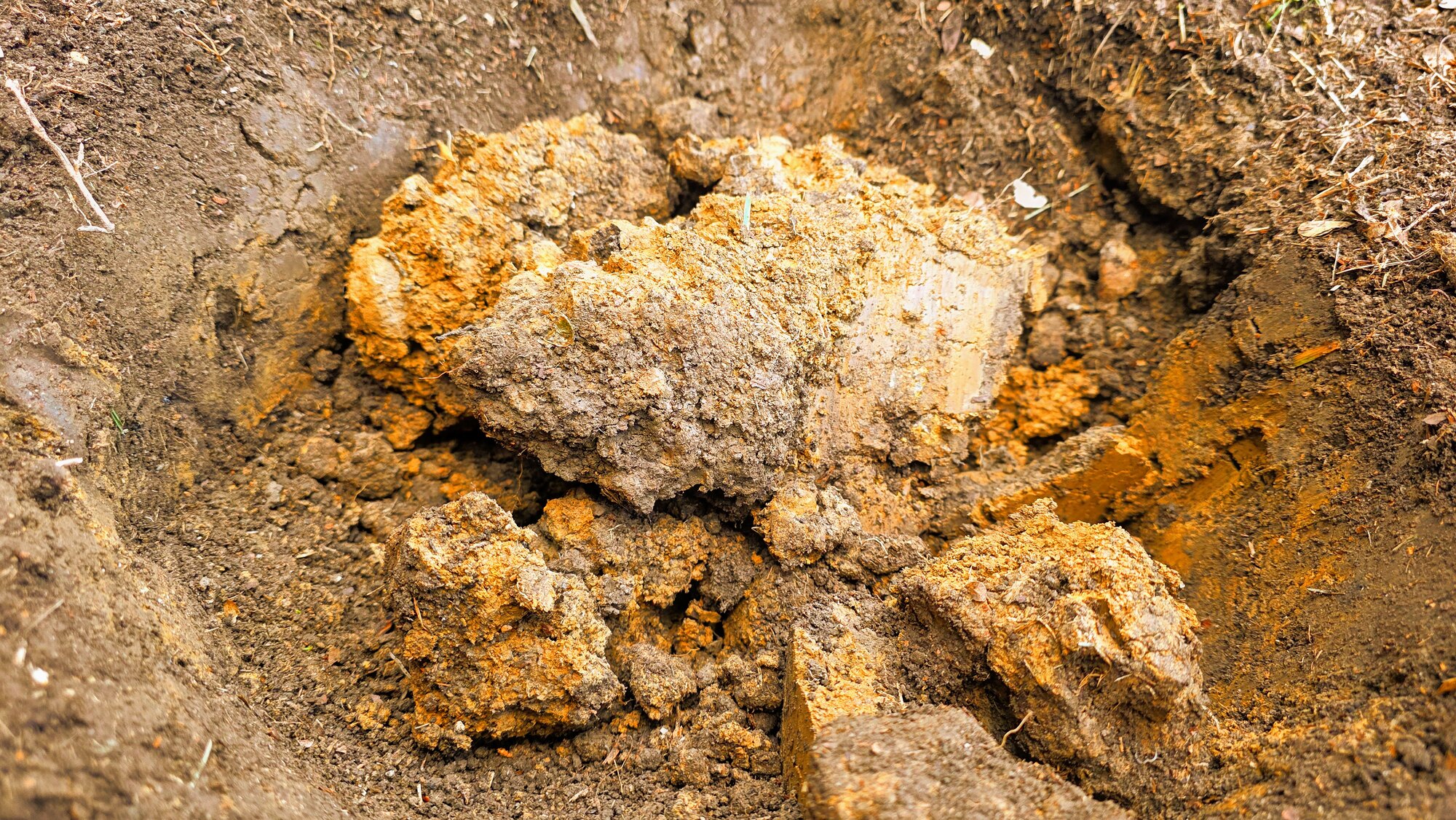 clay soil