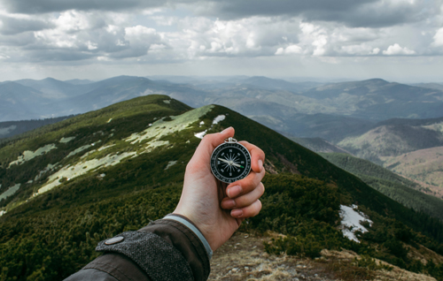 compass vision for web