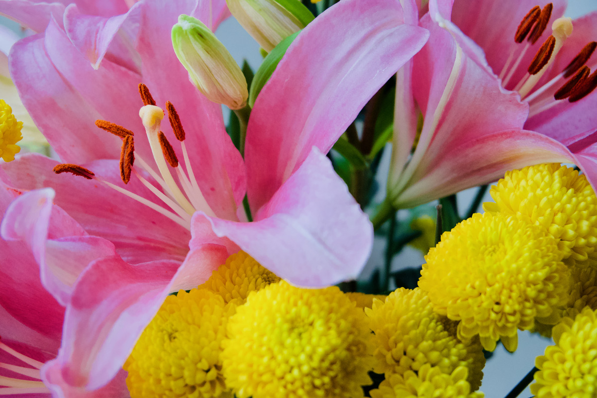 celebration of life flowers