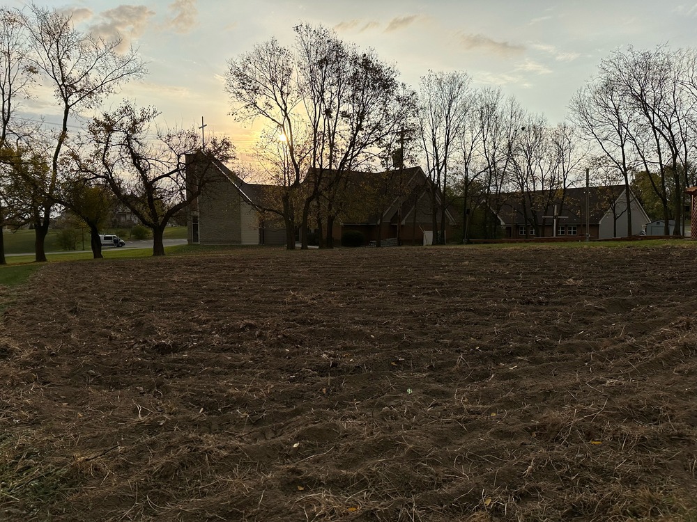 garden tilled