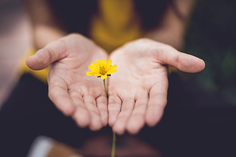 gift forweb lina trochez ktPKyUs3Qjs unsplash