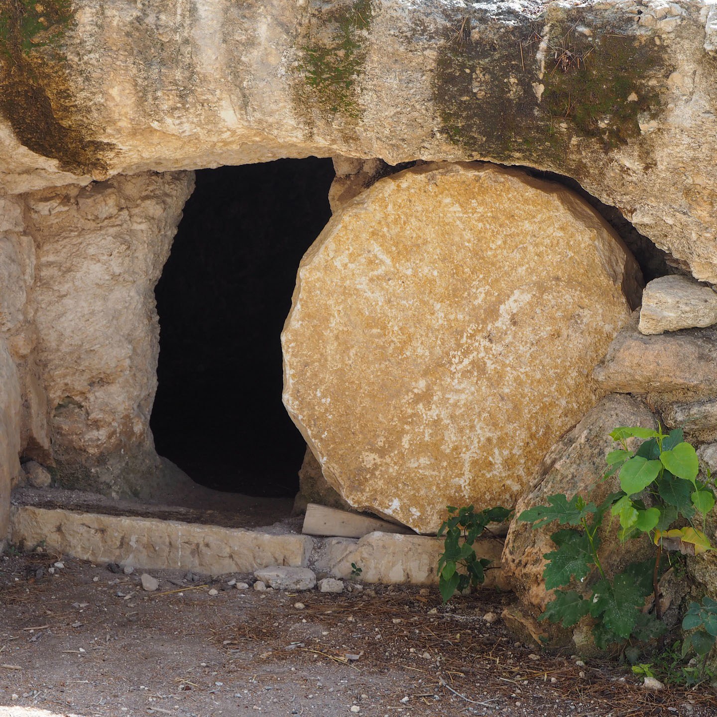grave 5105472 1920WEB