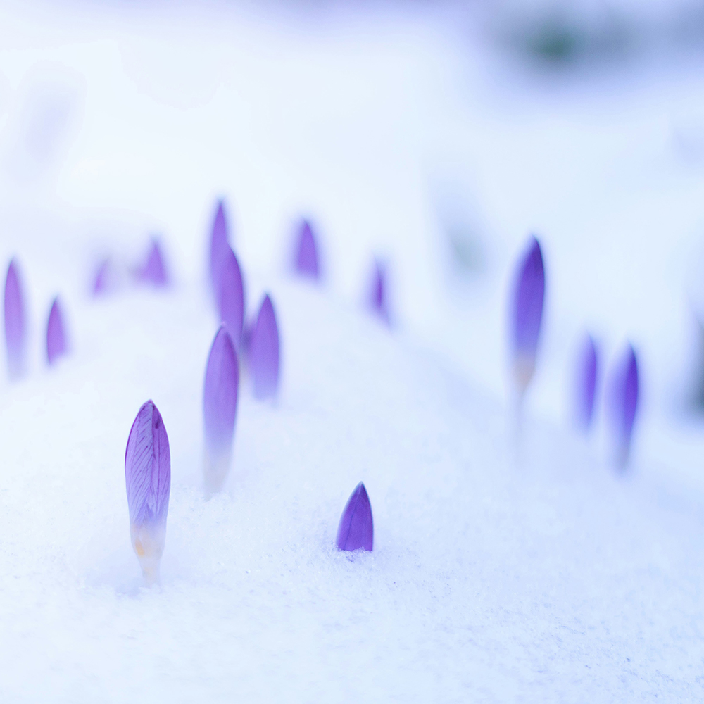 johannes plenio WEBMVr6pgZzlbY unsplash
