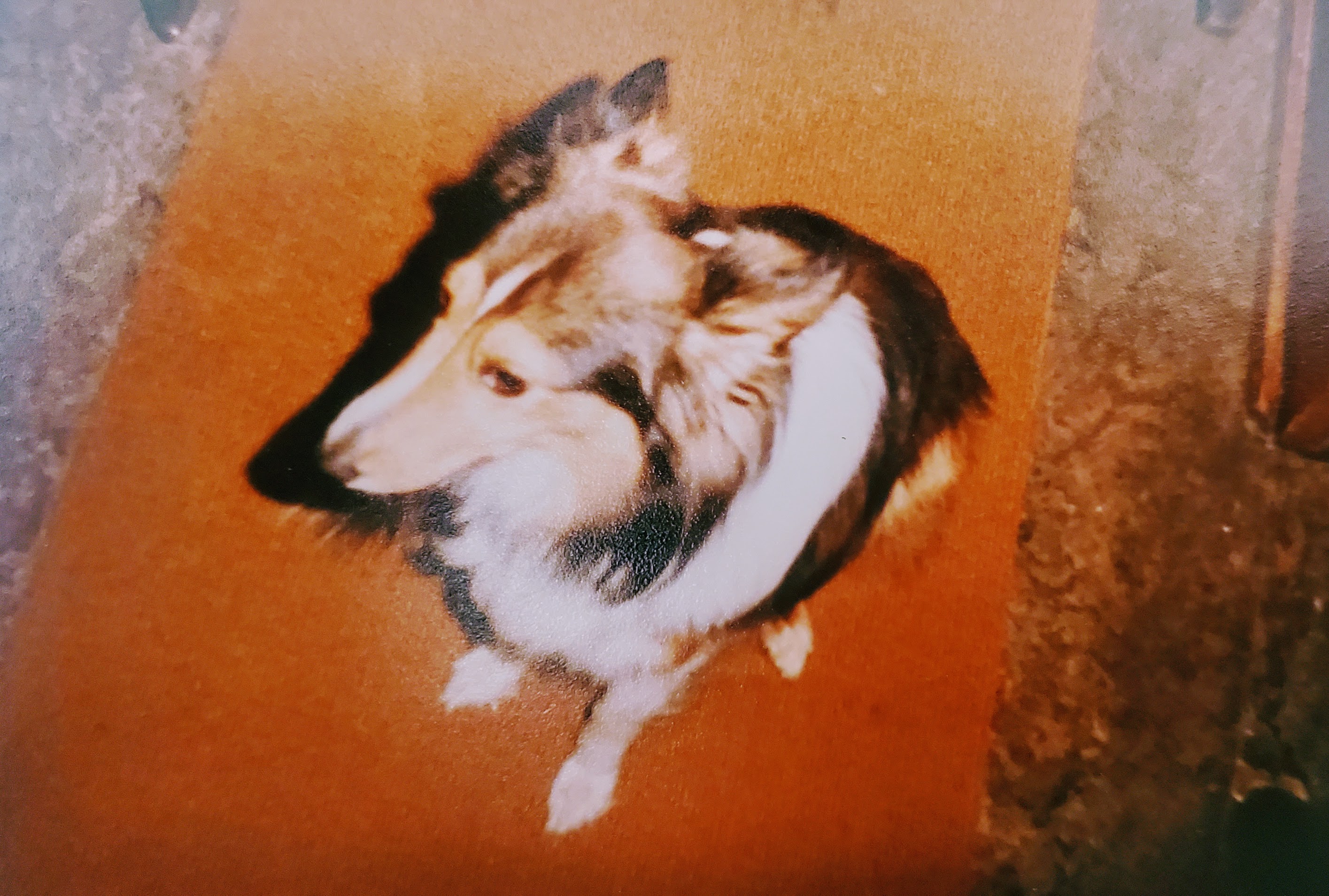 johndogmax