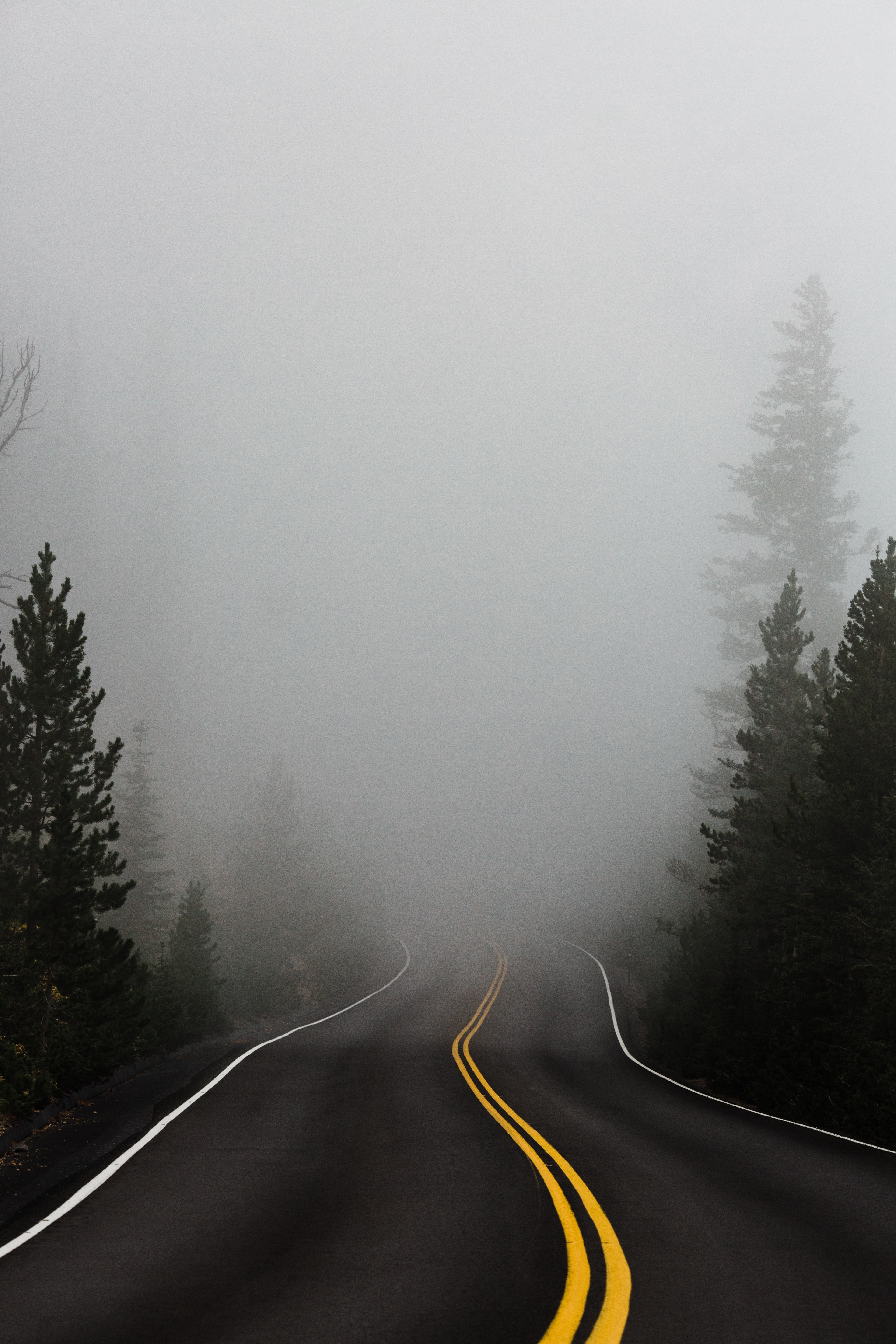 katie moum 5FHv5nS7yGg unsplash drive in fog