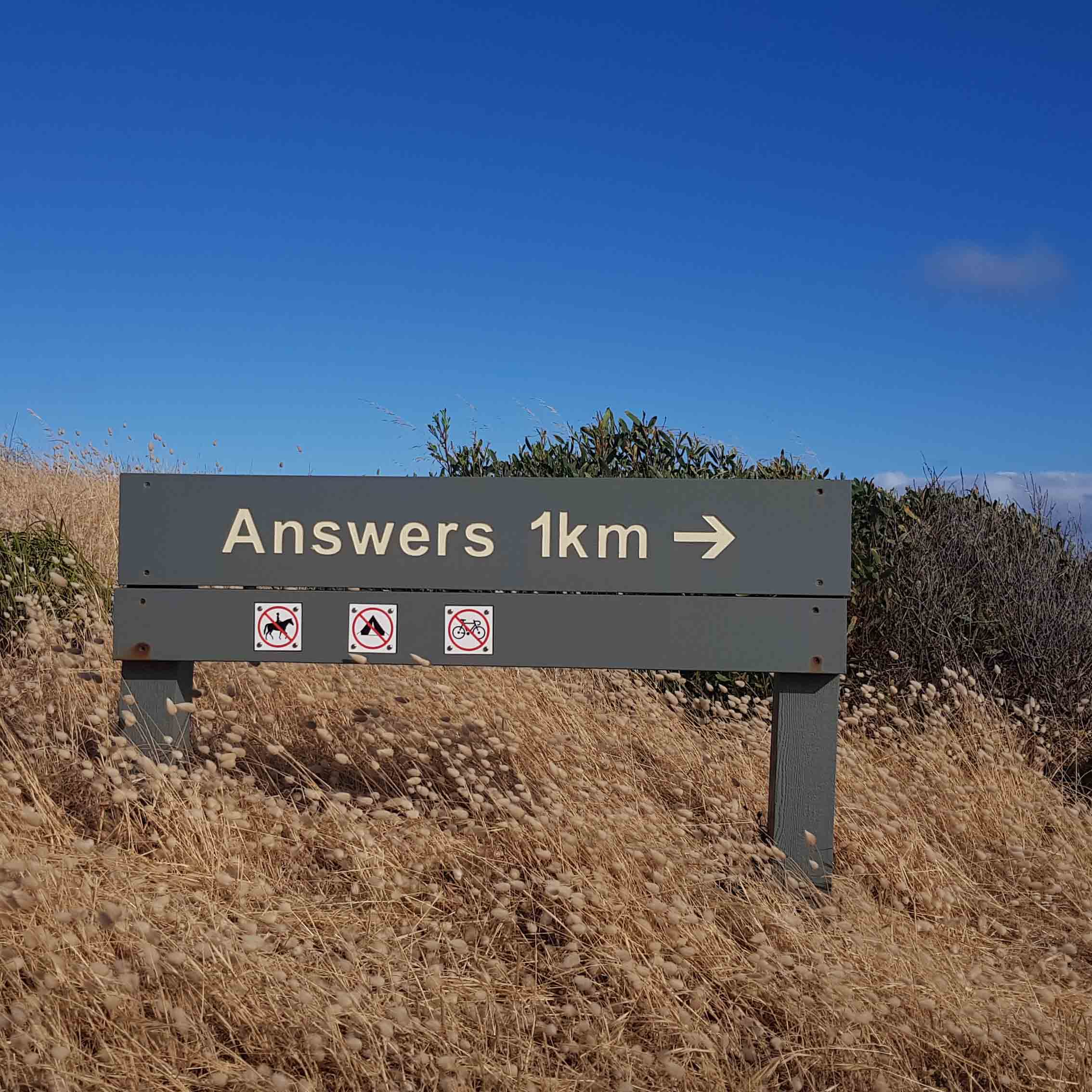 questionsWEBhadija jCfDzOQ2 C8 unsplash