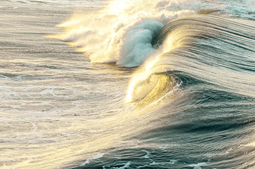 returningwavejeremy bishop qH7cYCMF10M unsplash for web