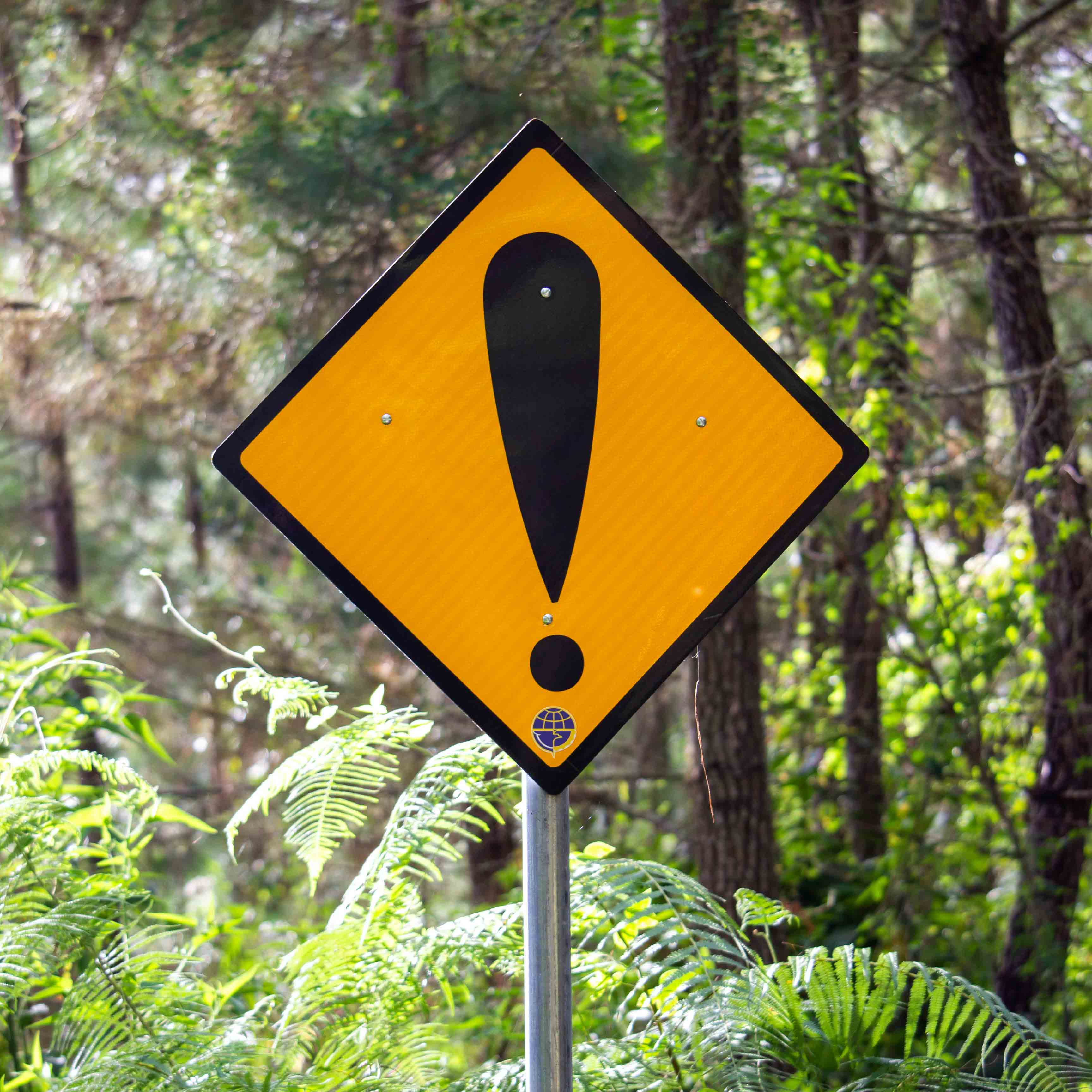 signWEB