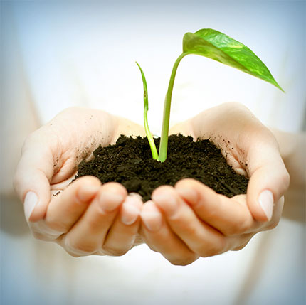 sprout natural hands