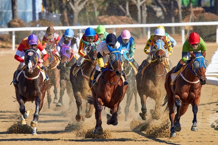 triplecrown blog